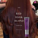 صبغة شعر دائمة 100 مل 6,6 Luxviva