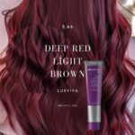 صبغة شعر دائمة 100 مل 5,66 Luxviva