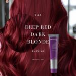 صبغة شعر دائمة 100 مل 6,66 Luxviva